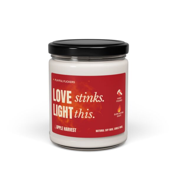 Valentines Day Gift Idea | Gift for Him | Gift for Her | Funny Candle | Soy Scented Candle | "Love Stinks. Light This." Candle