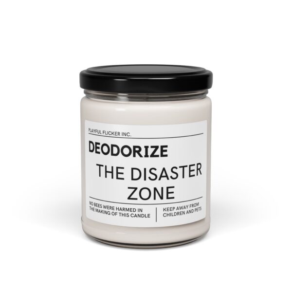 Deodorize The Disaster Zone, Scented Candle
